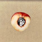 Miniature portrait within a peach